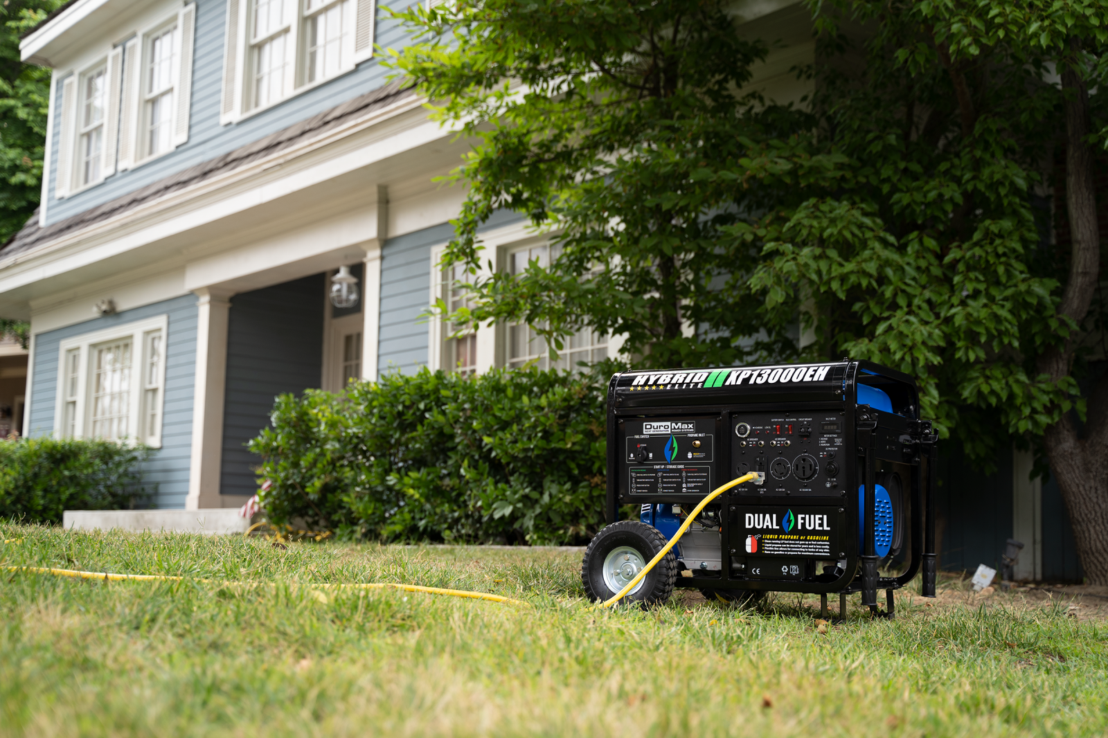 13,000 Watt Dual Fuel Portable Generator